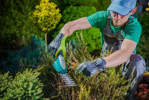 landscaping services Yarmouth Port